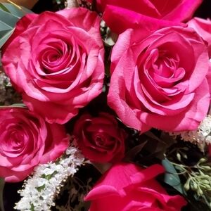 Have A Beautiful Day